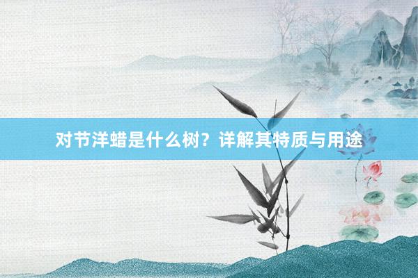 对节洋蜡是什么树？详解其特质与用途