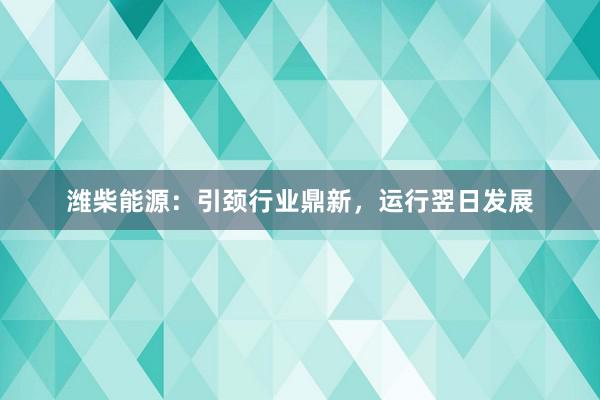 潍柴能源：引颈行业鼎新，运行翌日发展